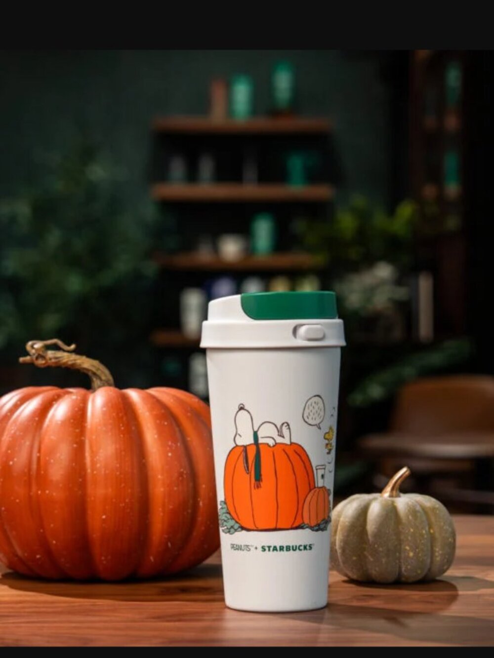 Deadstock Starbucks x Peanuts Snoopy 2026 Limited Edition Bundle of 6 NEW - Picture 7 of 16
